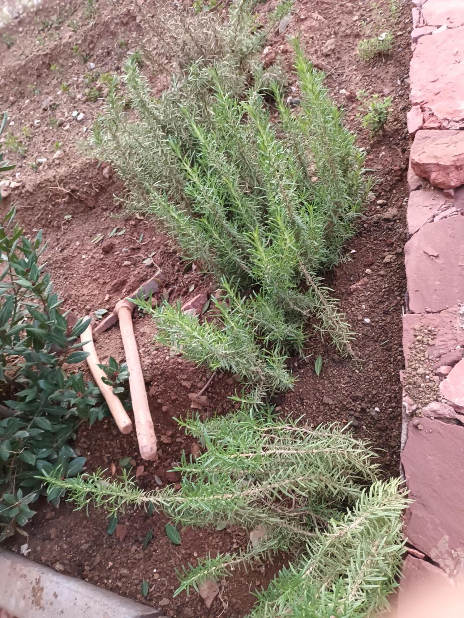 Ecolodge Espace Tamount Demnat Kültér fotó