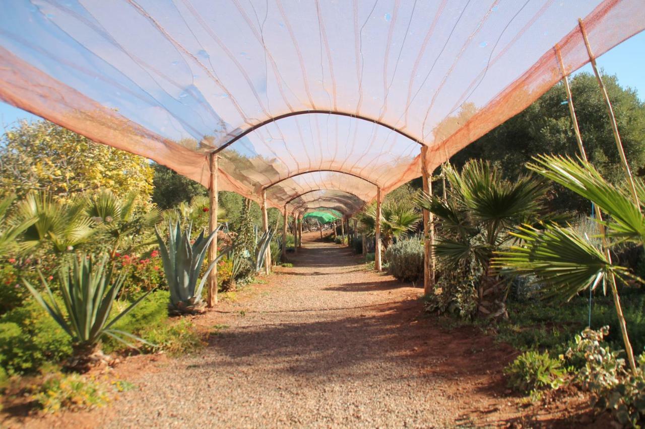 Ecolodge Espace Tamount Demnat Kültér fotó