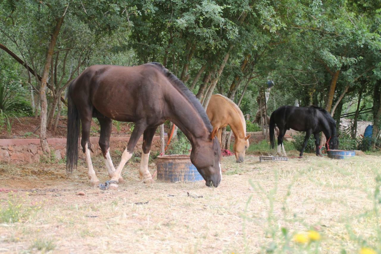 Ecolodge Espace Tamount Demnat Kültér fotó